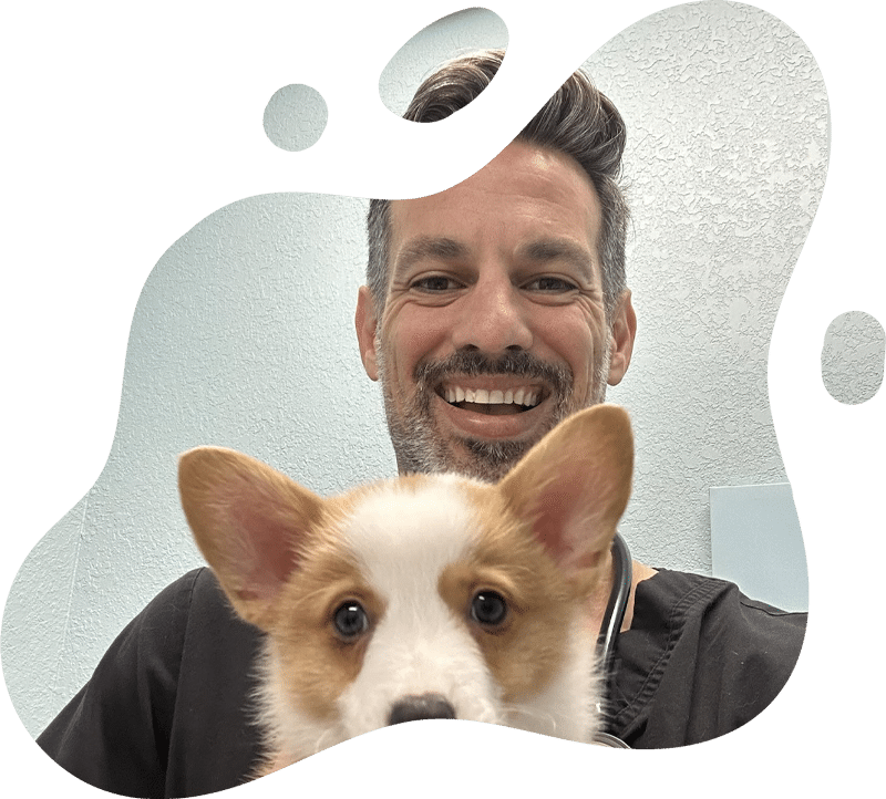 A man smiles at the camera while holding a tan and white puppy, perhaps after a visit to the veterinarian. The photo is framed with rounded, abstract shapes around the edges.