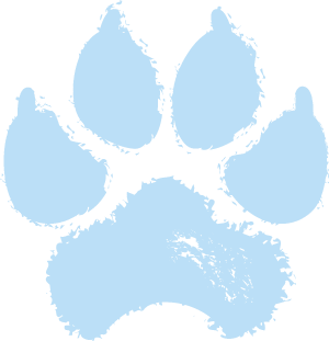 A light blue, textured paw print—symbolic of trusted veterinarian care—is centered on a plain white background.